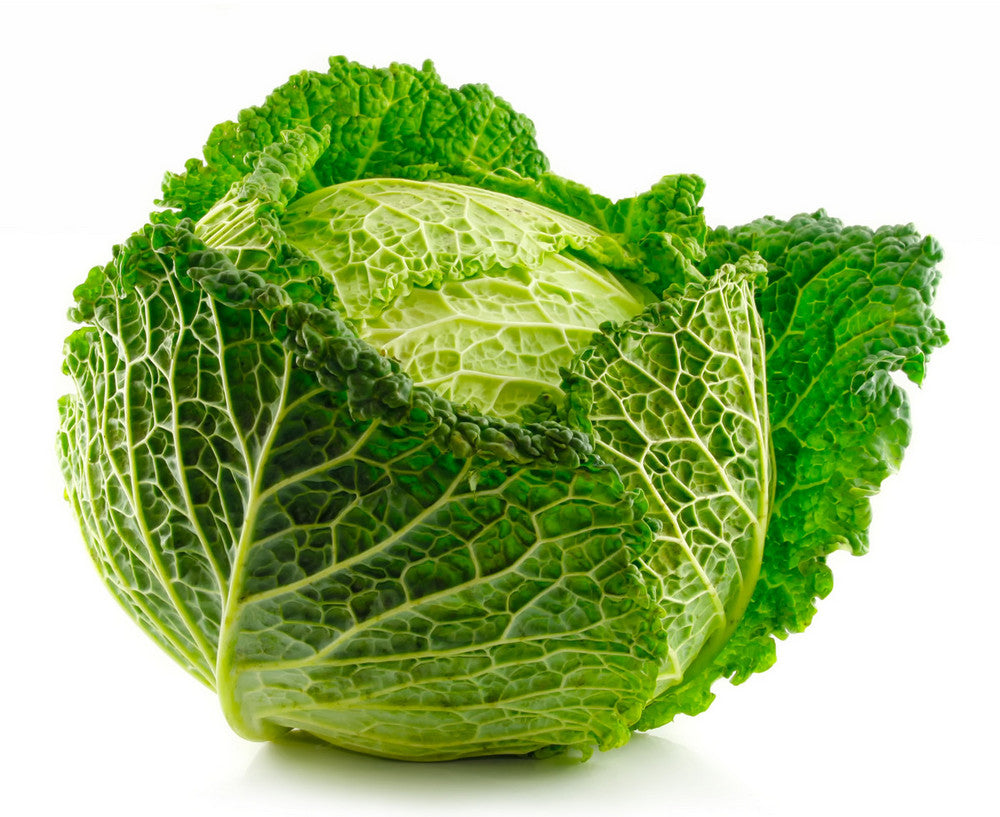 Savoy Cabbage